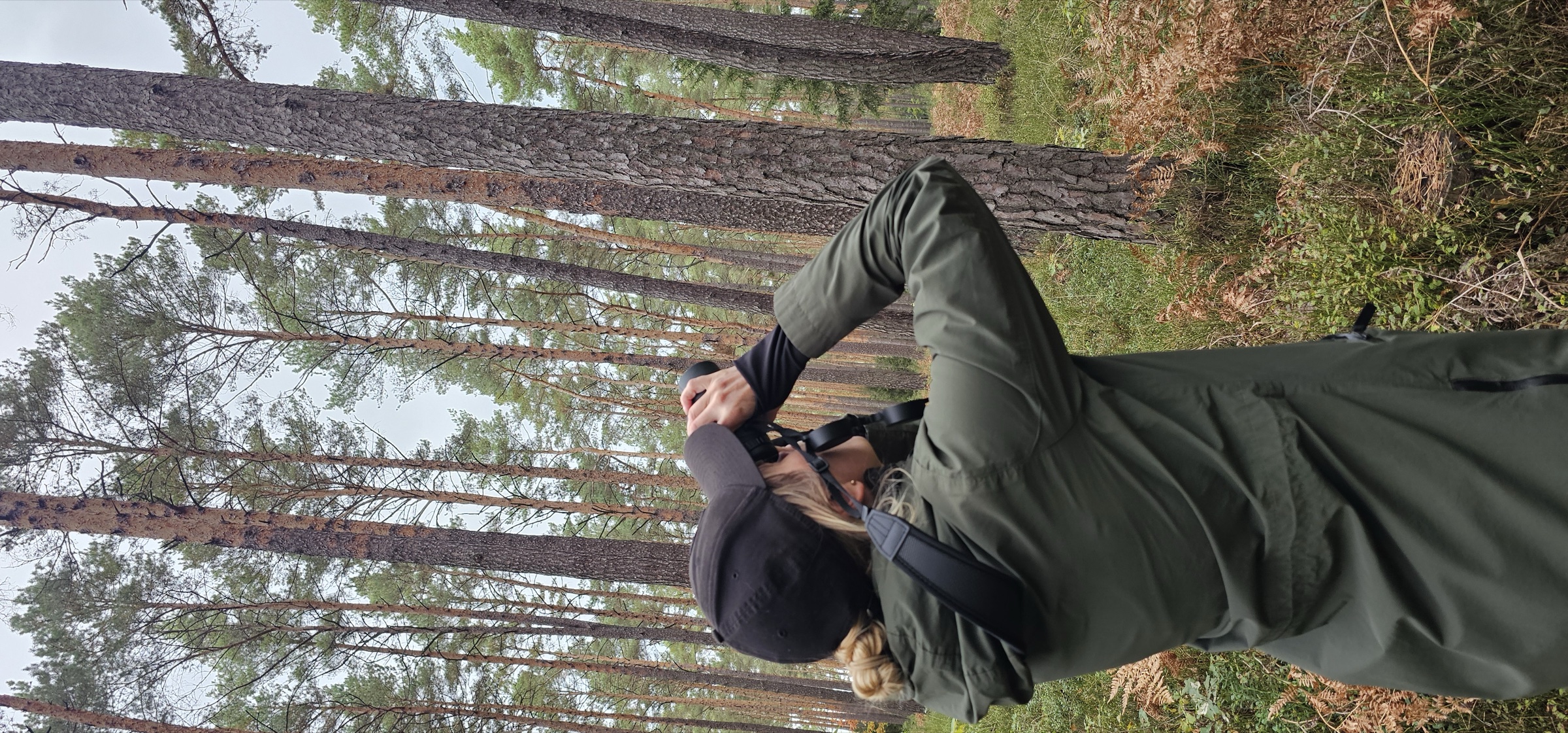 A birdwatcher with binoculars among pine trees, ready for another look into the canopy