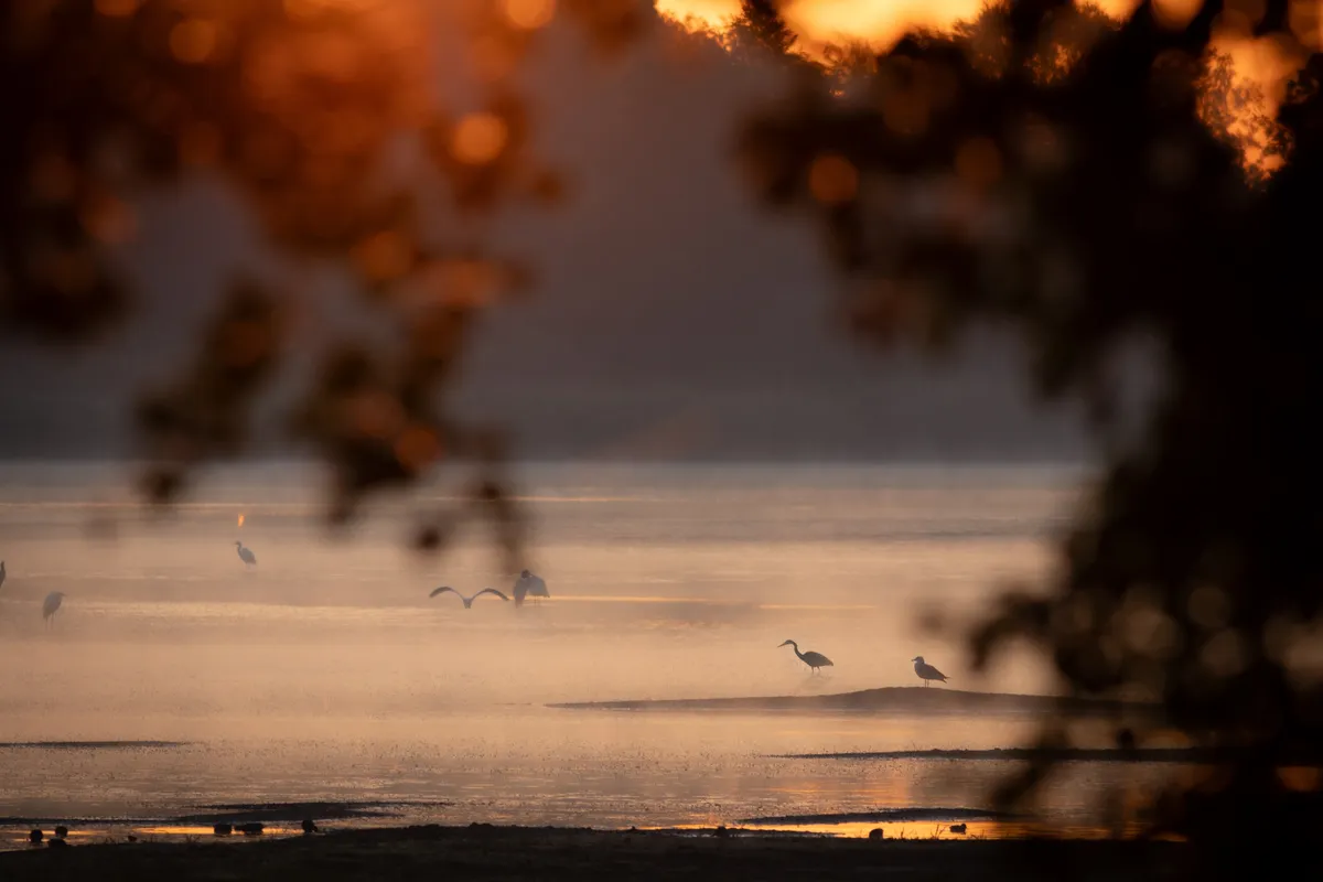 Bird Valley - Total Immersion in the Barycz Valley