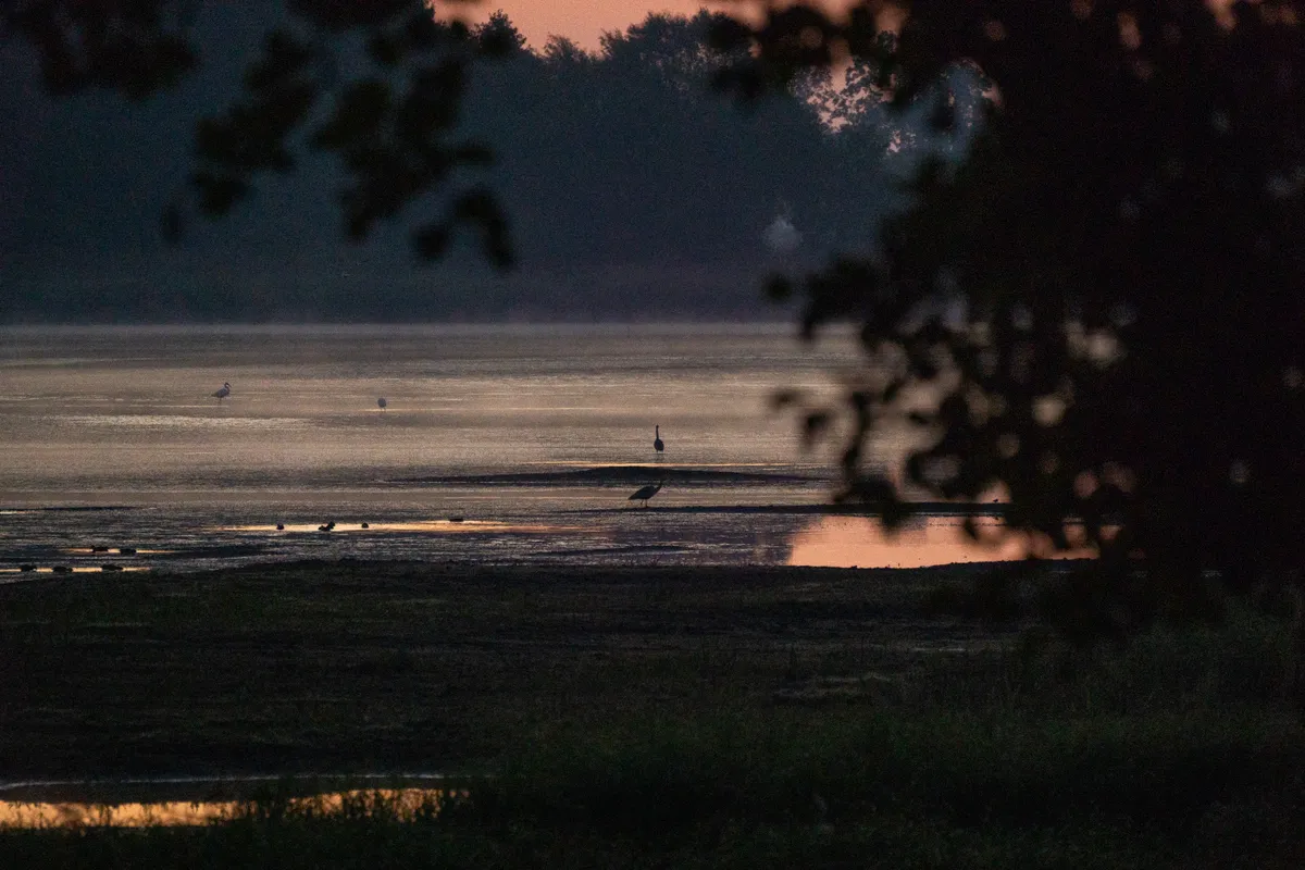 dawn