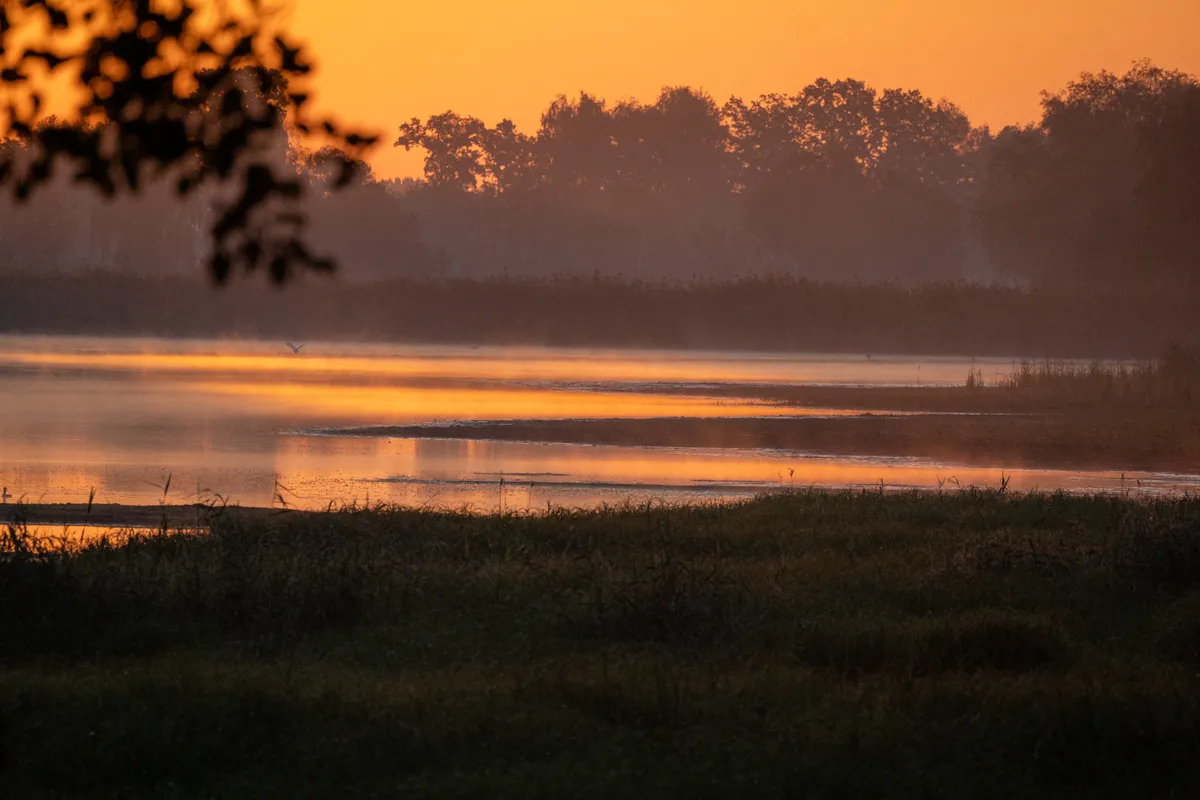 dawn